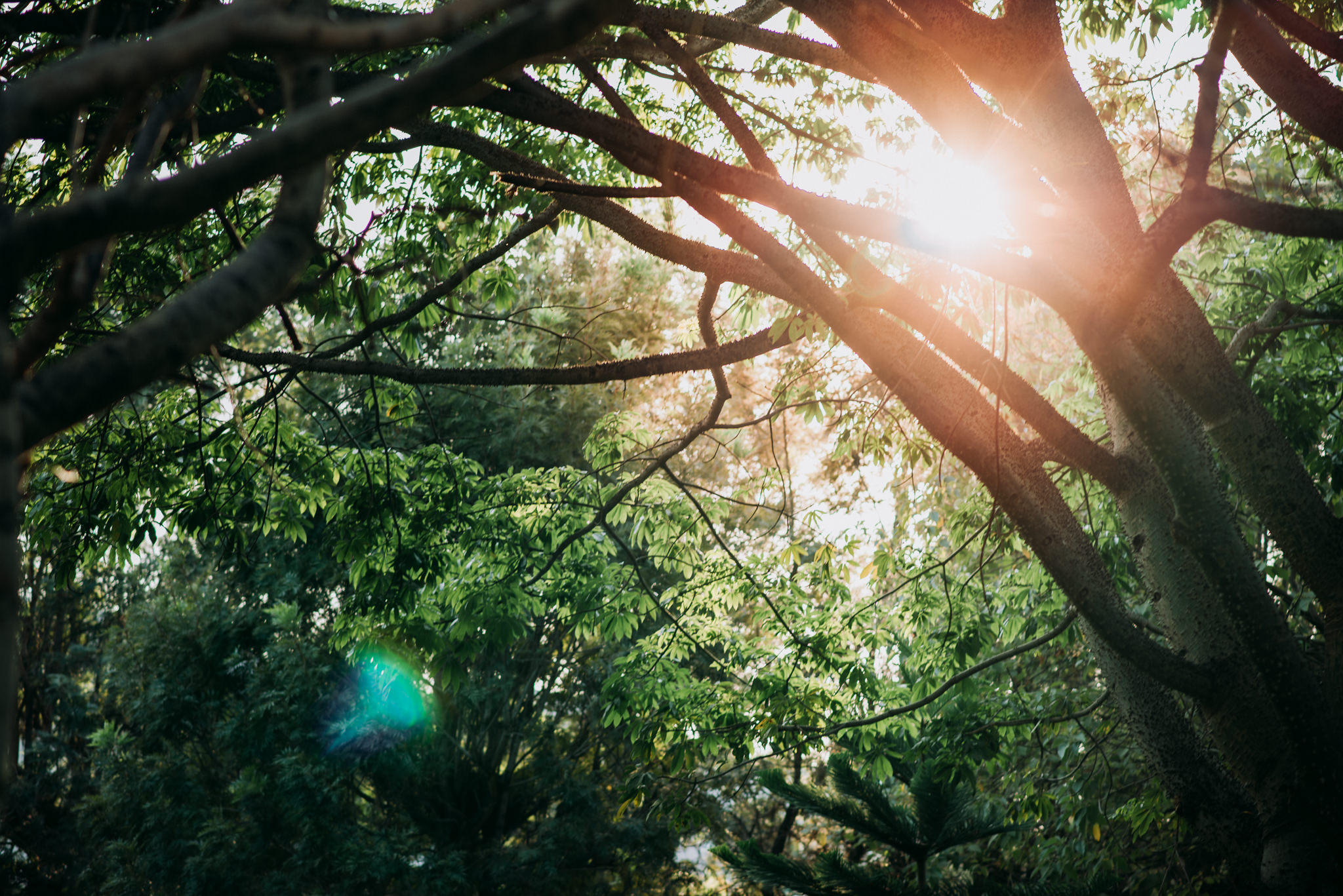 Sesion_embarazo_Colima_Mom_to_be-Korami-020