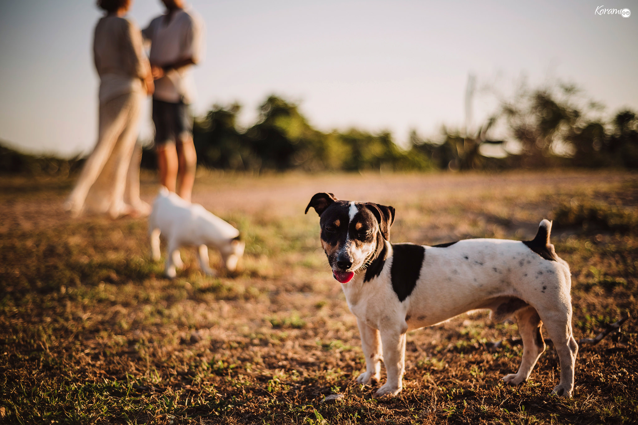Sesion_embarazo-Playa_Peñas_Blanca_Maternidad_Korami_Mom-to-be-027